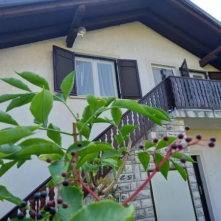Mir Zadar