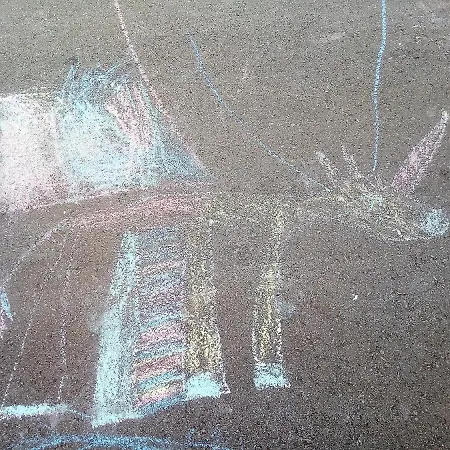 Mir *