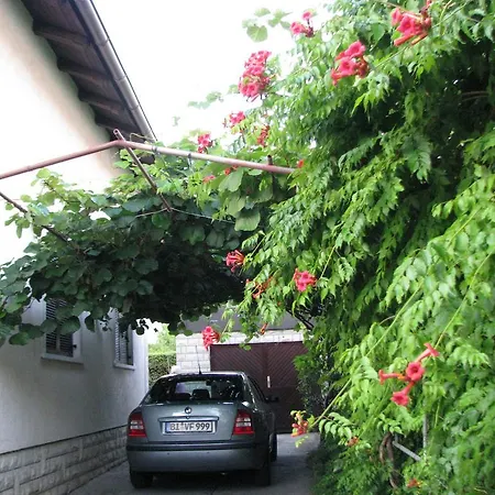 Mir Apartment